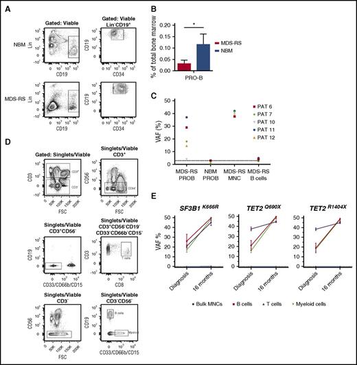 Figure 3. SF3B1 mutations in lymphoid and myeloid progenitors in MDS-RS. (A) Representative FACS analysis of BM MNCs from healthy NBM and SF3B1-mutated MDS-RS patient 6, showing gating strategy for viable Lin−CD34+CD19+ pro–B cells. (B) Mean (SEM) frequencies of pro–B cells in SF3B1-mutated MDS-RS patients (n = 9) and healthy NBM (n = 4). (C) VAF of SF3B1 mutations in MDS-RS pro–B cells (MDS-RS PROB, n = 5) and mature PB B cells from MDS-RS (MDS-RS B cells, n = 3) compared with MDS-RS bulk BM MNCs (n = 5). Healthy NBM pro–B cells (NBM PROB, n = 4) were included as a negative control for pyrosequencing. PAT, patient. (D) Representative gating strategy for FACS purification of PB CD3+CD8+ T cells, CD19+ B cells, and CD33/66B/15+ myeloid cells from MDS-RS patient 4. (E) VAF of identified mutations in FACS-purified PB myeloid, B, and T cells from MDS-RS patient 4 at diagnosis and 16 months later using droplet digital PCR. Healthy normal DNA was negative, as indicated by the dotted line (<0.1%).