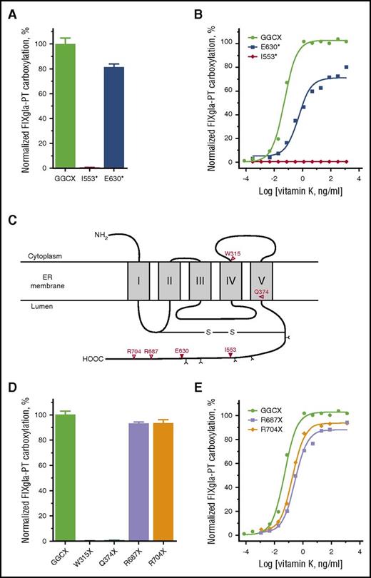 Figure 2. Characterization of the GGCX truncation mutations identified from patients/animals with bleeding disorders by cell-based activity assay. (A) Carboxylation activity of wild-type GGCX and the I553* and E630* mutants measured by GGCX-deficient cell-based assay with 5 µg/mL vitamin K. (B) Carboxylation of the reporter protein by wild-type GGCX and the I553* and E630* mutants in GGCX-deficient HEK293 reporter cells in response to increasing concentrations of vitamin K. (C) Proposed membrane topology of GGCX according to Tie et al.18 GGCX truncation mutations and the corresponding amino acid residues are indicated (∇). N-linked glycosylation sites are indicated by Y. (D) Carboxylation activity of wild-type GGCX and the W315X, Q374X, R687X, and R704X mutants measured by GGCX-deficient cell-based assay with 5 µg/mL vitamin K. (E) Carboxylation of the reporter protein by wild-type GGCX and the R687X and R704X mutants in GGCX-deficient HEK293 reporter cells in response to increasing concentrations of vitamin K.
