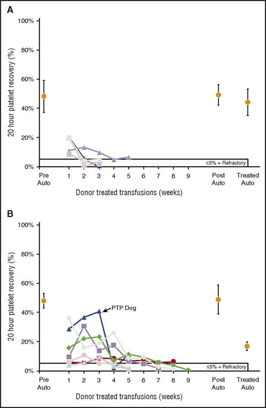 Figure 2. Twenty-hour donor platelet recoveries of single treatments of PRP. (A) All 5 recipients of γ-I platelets became platelet refractory with very poor recoveries even with their first donor transfusion. There were no differences between means of pretreatment (47% ± 11%) and posttreatment (49% ± 7%) autologous platelet recoveries (P = .66) nor between pretreated and treated (44% ± 9%) autologous platelet recoveries (P = .42). (B) Six of 7 recipients (86%) of MPR became refractory on treatment. One of these refractory dogs developed posttransfusion purpura after the fifth transfusion (her second refractory transfusion) when the recipient’s platelet count fell from 261 000 per microliter at the end of week 4 to 3000 per microliter the next week, and the dog was killed. The dog had high levels of antibodies to both her donor’s platelets (2.2 × autologous control sera) and lymphocytes (1.7 × autologous control sera). No autoantibodies were sought because the dog’s platelet count was too low. There were no differences between means of pretreatment (47% ± 5%) versus posttreatment (49% ± 11%) autologous platelet recoveries (P = .76), but there was a significant difference between pretreated and treated (21% ± 7%) autologous platelet recoveries (P < .001). PTP, posttransfusion purpura.