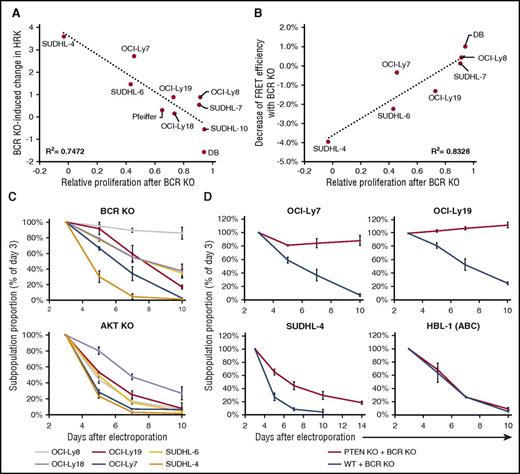 Figure 2. Effect of BCR KO on proliferation of GCB-DLBCL lines correlates with reduction in AKT activity. (A) Correlation between relative proliferation after BCR KO in GCB-DLBCL lines, as calculated by the ratio (BCR-KO/BCR replete) of their absolute growth curve slopes, and the BCR KO–induced log2 change in HRK expression. For each cell line, the average value of 2 to 4 biological replicates (each with a different IgH-targeting gRNA) is displayed. (B) Correlation for GCB-DLBCL lines between BCR KO–induced reductions in proliferation and AKT activity, measured by FRET efficiency with the Lyn-AktAR2 reporter. AKT activity reduction value is the average of 3 biological replicates, each with a different IgH-targeting gRNA. (C) Relative decline of KO cells in GCB-DLBCL lines after IgH-targeting KO of BCR (upper panel) or combined KO of all 3 AKT genes (lower panel). Values shown are the mean ± SD from 2 (BCR KO) or 3 (AKT KO) biological replicates. (D) Relative decline of BCR-KO cells in DLBCL lines that are either unmodified or have previously undergone PTEN KO. Values shown are the mean ± SD from 3 biological replicates.