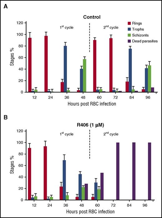 Figure 4. Effect of Syk inhibitors on parasite stage differentiation. Percentage of the different parasite stages (Stages %) during the course of 2 growth cycles. R406 was added at 20 hours postinfection, measured in (A) control cells and (B) R406 (1.0 µM) cells. The percentage of severely altered parasites (dead parasites) is also shown. Data are means ± SD.
