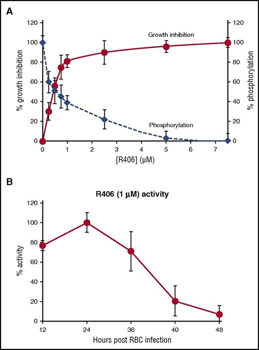 Figure 5. Effect of Syk inhibitors on growth inhibition and band 3 phosphorylation; stage-dependent sensitivity of parasite to R406 treatment. (A) Parasite growth inhibition (% growth inhibition) and the levels of band 3 phosphorylation at different concentrations of R406 expressed as a percentage of the band 3 maximal phosphorylation levels measured in untreated cultures (% phosphorylation). Parasitemia was measured at the second cycle of growth, and band 3 phosphorylation was measured 36 hours postinfection. (B) Relative activity of R406 (1.0 µM) added at 12, 24, 36, 40, and 48 hours postinfection. Values are expressed as percentage of the maximal R406 activity (treatment time 24 hours postinfection) measured as % activity. Data are the average of 5 experiments ± SD.