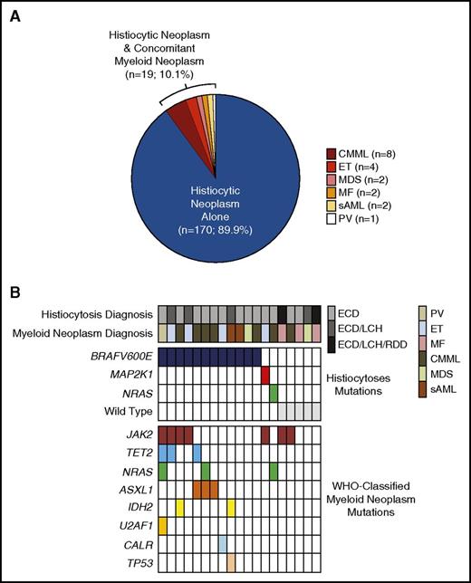Figure 1. Distribution of myeloid neoplasms in patients with concomitant non-LCH and genetic analysis of both disorders. (A) Pie chart demonstrating proportion of non-LCH patients with concomitant myeloid neoplasm and types of myeloid neoplasms diagnosed. ET, essential thrombocytosis; MDS, myelodysplastic syndrome; MF, primary myelofibrosis; PV, polycythemia vera; sAML, secondary acute myeloid leukemia transformed from antecedent hematological malignancy. (B) Genetic analysis of non-LCH and concomitant myeloid neoplasm. Each patient is noted by a column. Patients had clinical diagnosis of ECD or an overlap of ECD plus LCH or ECD/LCH plus Rosai Dorfman disease (RDD) based on tissue biopsy and clinical evaluation in addition to a form of WHO-classified myeloid. Mutations identified in histiocytosis tissue lesion biopsy alone in each patient are noted in the middle boxes, and those mutations detected in PB or BM mononuclear cells are noted in bottom boxes.