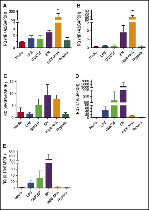 Figure 2. qPCR validation of selected targets identified from microarray data. Ultrapurified neutrophils were stimulated with N6/8-AHA (PKA) (1 mM), monocyte-conditioned SN, GM-CSF (100 U/mL), LPS (1 μg/mL), or cultured under hypoxic conditions for 4 hours. cDNA was prepared and qPCR performed for the following genes: (A) NR4A2, (B) NR4A3, (C) VEGFA, (D) IL-1α, and (E) IL-1β. Charts show mean ± SEM and are generated from 5 independent experiments. Statistical analysis was carried out by 1-way ANOVA and Dunnett’s posttest. Statistically significant comparisons are denoted by **P < .01 and ***P < .001, where treated populations were compared with control. RQ, relative quantity.