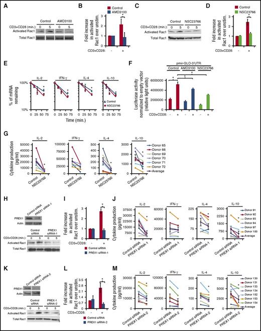 Figure 5. Activation of TCR leads to CXCR4-mediated stabilization of cytokine mRNA by activation of a PREX1-Rac1–signaling pathway. (A-D) PBMC T cells were treated with 60 μM AMD3100 or 50 μM NSC23766 for 1 hour, stimulated with 5 μg/mL biotinylated OKT3 crosslinked with avidin and soluble CD28 for 5 minutes, and assayed for active, GTP-bound Rac1, or total Rac1. Vertical white lines between bands indicate removal of an irrelevant lane from the gel image. (B,D) Summary of results as in panels A and C, respectively; each bar denotes the fold increase in activated Rac1 in stimulated cells compared with unstimulated cells, (n = 3-5; P < .05). (E) PBMC T cells were treated with 50 μM NSC23766 for 1 hour, stimulated with 1 μg/mL plate-bound OKT3 and soluble CD28 for 5.5 hours prior to addition of actinomycin D and assessment of mRNA levels as in Figure 4I (n = 7-10; P < .05). Donor samples were included in this analysis only if there was less than a twofold difference in starting transcript levels between treated and untreated samples at 1 minute of actinomycin D treatment. (F) PBMC T cells were transfected with pmir-GLO empty vector or pmir-GLO-3′UTR at 350 V on a BTX square wave electroporator, treated with 60 μM AMD3100 or 50 μM NSC23766 for 1 hour, stimulated with 1 μg/mL plate-bound OKT3 and soluble CD28 Ab for 5.5 hours, harvested, lysed, and assayed for luciferase activity. Luciferase activity of pmir-GLO-3′UTR was normalized to pmir-GLO empty vector. Representative experiment is shown with each bar denoting mean relative light units ± SD (n = 3; P < .05) (unpaired t test). (G) PBMC T cells were treated with 50 μM NSC23766 for 1 hour, stimulated as in panel F for 24 hours, and supernatants were analyzed for the indicated cytokines as in Figure 1D-E (n = 6). (H-M) PBMC T cells were transfected with PREX1 siRNA-1 (pool of siRNAs), PREX1 siRNA-2 (single siRNA) or control siRNA, cultured for 48 hours, and stimulated as indicated below. (H-I,K-L) Cells were stimulated as in panel A and harvested to either immunoblot PREX1 and actin expression or assay GTP-bound Rac activation as in panels A and B (n = 3). (J,M) Forty-eight hours after transfection, cells were stimulated as in panel G for 24 hours and supernatants were analyzed for the indicated cytokines as in Figure 1D-E (n = 6).