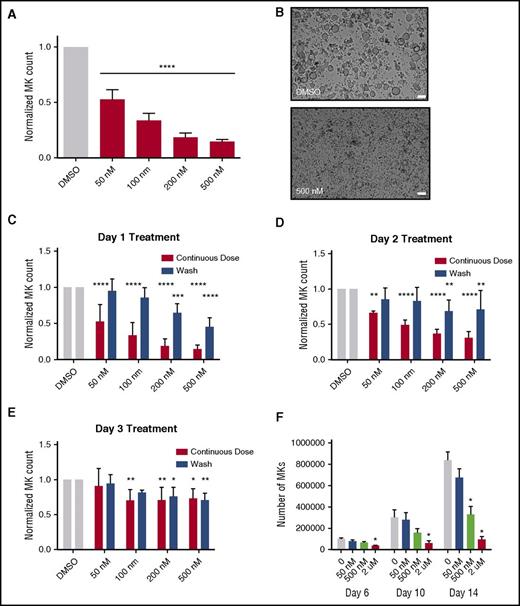 Figure 3. Selinexor treatment of murine fetal liver cells inhibits mature MK formation. Murine fetal liver cells were treated with selinexor at indicated doses on D1 of maturation, and the MK population was quantified with FACS (A) and visualized under the microscope on D4 (B). ****P < .0001 vs DMSO control. Bars represent 50 μm; n = 4. (C-E) Murine fetal liver cells were dosed with selinexor at D1, D2, or D3 of maturation either continuously until D4 (red bars) or selinexor was washed out after 6 hours (blue bars). On D4, the MK population was quantified with FACS. Values were normalized to DMSO control for each biological replicate, and then replicates averaged. *P < .05; **P < .01; ***P < .001; ****P < .0001 vs DMSO control; n = 3. (F) Human CD34+ peripheral blood cells were continuously treated with selinexor beginning on D3 of maturation at the indicated doses, and the number of mature MKs was quantified by FACS based on CD41/61 positivity on D6, D10, and D14. *P < .05; n = 4.