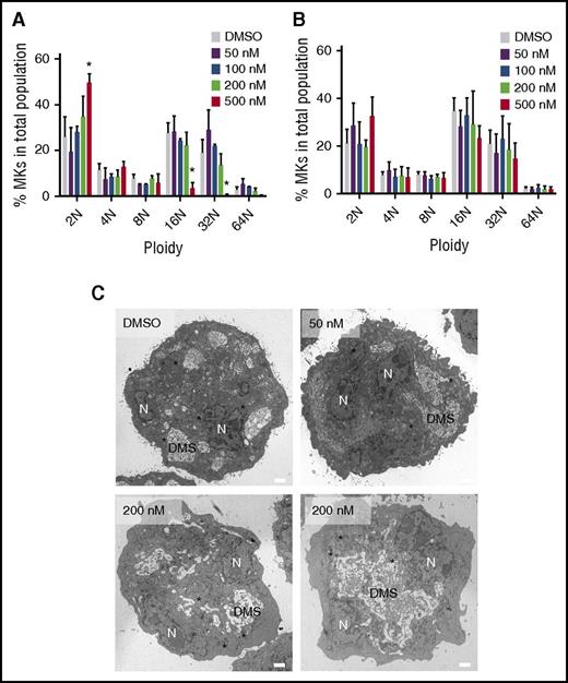 Figure 4. MKs that overcome selinexor treatment have normal ploidy and morphology. Murine fetal liver cells were dosed with selinexor at D1 of maturation either continuously until D4 (A) or selinexor was washed out after 6 hours (B). On D4, the ploidy of the resulting MK population was quantified with FACS. *P < .05 vs vehicle control (DMSO); n = 3. (C) Representative transmission electron microscopy images of MKs showing polyploid nucleus (N), demarcation membrane (DMS), and granules (*). Bars represent 2 μM.