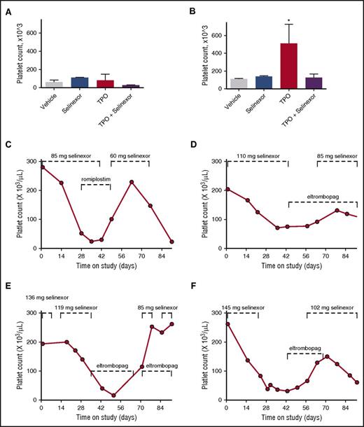 Figure 7. Coordinated dosing of TPO agonists overcomes selinexor-induced thrombocytopenia in patients. (A-B) TPO knockout mice were treated with vehicle control, selinexor (15 mg/kg every other day, for 3 doses per week), TPO (300 ng/mL, single treatment), or selinexor and TPO, and platelet counts were measured on D0 (before treatment) (A) and D6 (B). *P < .05 compared with vehicle control; n = 3 mice per group. (C-F) Representative human patient data showing the recovery effects of dosing interruption ± TPO agonists romiplostim or eltombopag on patients with selinexor-induced grade 4 thrombocytopenia. Dashed lines mark periods of selinexor and/or TPO mimetic treatment.