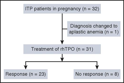 Figure 2. Flow diagram of the trial.