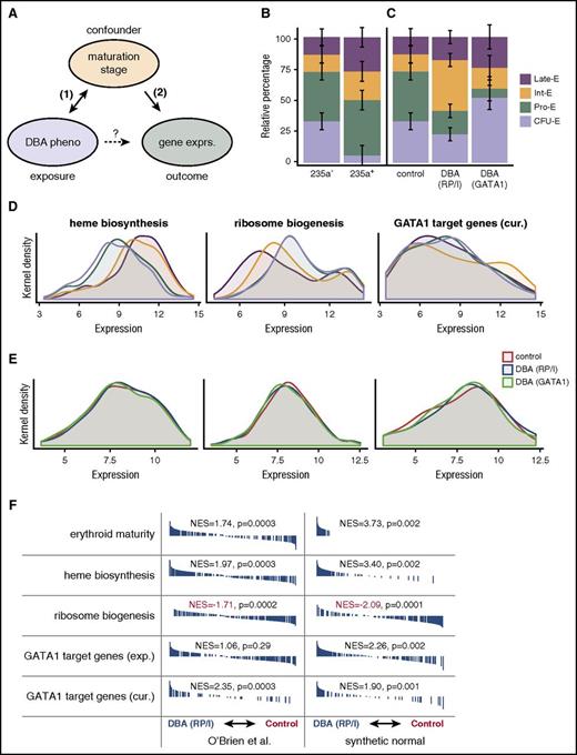 Figure 1. Evidence for confounding in microarray analysis of DBA models. (A) Diagram of hypothetical relationships between exposure, outcome, and putative confounding variable in the O’Brien et al study. (B) Deconvolution of early (CD235a−) and late (CD235a+) erythroid maturation stages by CIBERSORT, a support vector regression approach, in O’Brien et al samples based upon normal erythroid maturation from GSE22552 (P = .000057 from likelihood ratio test). Error bars represent standard errors. (C) Although similarly sorted for CD235a−, DBA samples are composed of different mixtures of maturation stages than unaffected control samples. DBA due to RP or indeterminate (RP/I) samples are on average more mature (P = .017 from likelihood ratio test), whereas DBA due to GATA1 samples are less mature (P = .012 from likelihood ratio test). Error bars represent standard errors. (D) Kernel density plots for heme biosynthesis, ribosome biogenesis, and curated (cur.) GATA1 target genes. Heme biosynthesis and ribosome biogenesis are significantly associated with erythroid maturation stage (P < 10−10 for both by Kruskal-Wallis), whereas curated GATA1 target genes are only significant by more sensitive pairwise GSE analysis tests.13 Ribosome biogenesis was chosen as a more general measurement of “translational machinery” because small nucleolar RNAs were not measured in all microarrays. (E) Similar to panel D, except for the 3 groups investigated in O’Brien et al. Differences between genotype (RP/I, GATA1, or unaffected) are much smaller than between stages (Kruskal-Wallis P > .5 for all comparisons, but significant by pairwise GSE analysis13). (F) Similar GSE analysis to that reported by O’Brien et al is shown. Synthetic stage-matched normal samples were created using the estimate from panel B of the percentage of each erythroid stage present. GSE analysis indicates that these synthetic normals have equivalent or stronger GSE results when compared directly to the original samples. Black bars indicate genes that are ranked according to expression differences between DBA (RP/I) and unaffected controls and normalized enrichment scores (NES) are reported. All data presented in this figure were RMA-normalized (see analysis in Ulirsch13 for SCAN-normalized data). CFU-E, colony-forming unit erythroid; exp., experimental; exprs., expression; Int-E, intermediate erythroblast; late-E, late erythroblast; pheno, phenotype; Pro-E, pro-erythroblast.