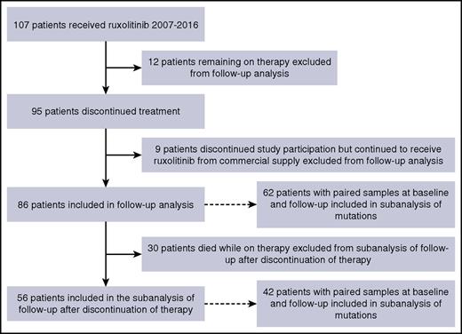 Figure 1. CONSORT diagram. Patient enrollment, discontinuation, and analysis schema are shown.