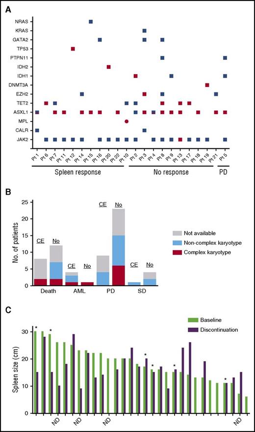 Figure 3. Correlation between clonal evolution and disease status. (A) Mutations at baseline and follow-up in patients who acquired a mutation while receiving ruxolitinib. Red squares denote an acquired mutation. Red/blue squares denote the acquisition of a second, different mutation in the same gene. Note that at the time of follow-up, patient (Pt) 3 had lost the GATA2 and KRAS mutations present at baseline. (B) Bar graph depicting disease status at the time of ruxolitinib discontinuation in patients with (CE) and without (No) clonal evolution. Bars are colored according to karyotype: gray, sample was not available; light blue, noncomplex karyotype; red, complex karyotype. (C) Bar graph depicting spleen size at baseline (light green) and at the time of ruxolitinib discontinuation (purple). Asterisks indicate patients who acquired a new mutation while on therapy. ND, mutation status at discontinuation not determined. PD, progressive disease; SD, stable disease.