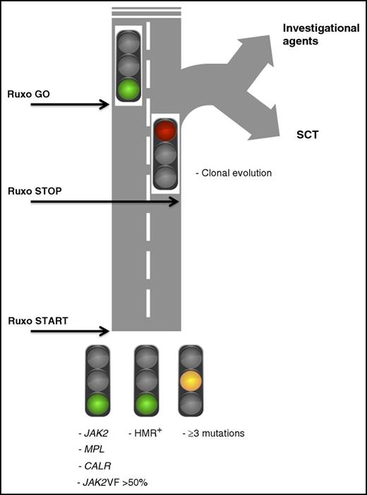 A color card depicting how results of a mutation profile in patients with MF might be used to make decisions about ruxolitinib (Ruxo) therapy at baseline and during treatment. JAK2VF >50%, presence of JAK2V617F mutation with an allelic burden >50%; HMR+, presence of high-molecular-risk mutations (ASXL1, EZH2, SRSF2, IDH1, IDH2); SCT, stem cell transplantation.