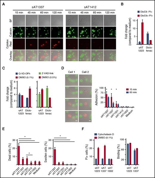 Figure 4. U5 snRNP200 antibody–induced death is nonapoptotic. (A) Time-lapse phase contrast fluorescent imaging of THP-1 cells, labeled with calcein AM (green) and incubated with sAT1337 or the AML-binding, noncytotoxic IgG3 antibody sAT1412 in the presence of Cytotox Red to indicate dying cells (red). Stills were taken every 2 minutes. Dying cells lose calcein AM green and become Cytotox Red. Scale bars represent 25 μm. BF, bright field. (B) THP-1 cells incubated with sAT1223 led to increased membrane permeability (PI+) but not loss of mitochondrial membrane potential (DioC6+). Diclofenac, which induces apoptosis of THP-1 cells,14 was used as a positive control. Incubation with diclofenac led to loss of mitochondrial potential and increased membrane permeability (DioC6− PI+). (C) Cell death of THP-1 cells by U5 snRNP200 complex–specific antibodies (incubated overnight) could not be blocked with the pan-caspase inhibitors Z-VAD-fmk or Q-VD-OPh. DMSO, dimethyl sulfoxide. (D) Stills of time-lapse imaging of 2 dying THP-1 cells, with frames taken every 2 minutes. Dying cells became adherent, flattened out, and lost membrane integrity, as indicated by loss of green calcein AM dye and uptake of Cytotox Red dye. Scale bars represent 25 μm. Graph indicates percentage of cells adhering to the plate at 15 and 60 minutes (n = 3). (E) Cell death and induction of typical morphologic changes by B cell–derived (sAT1337, sAT1331) and recombinant (rAT1337) antibodies (n = 3). (F) Preincubation of the target cells with the membrane-stabilizing agent cytocholasin D (in 0.1% DMSO) protected the THP-1 cells against cell death by AML-specific cytotoxic antibodies (left panel); however, this did not affect binding of AML-specific antibodies (right panel). Cells were incubated with antibodies for 4 hours.