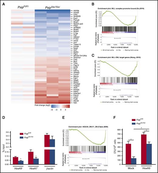 Figure 6. Psip1 knockout gene expression signature overlaps with that of MLL-FP target genes. (A) Heat map of RNA-seq data showing the top differentially expressed genes in PsipFl/Fl and PsipVav/Vav cells harvested after 1 round in the CFU assay. GSEA showing that Psip1-regulated genes are enriched for genes with promoter regions bound by (B) MLL complex and (C) MLL-ENL fusion. (D) Quantitative ChIP assay for PsipFl/Fl and PsipVav/Vav cells using Mll antibody. The promoter regions amplified by qPCR are indicated below the respective panels. (E) GSEA showing the correlation between the principal signature in the PsipVav/Vav RNA-seq samples and genes downregulated in MOLM-14 cells (AML) upon knockdown of Hoxa9. (F) CFU assay per 104 cells harvested from PsipFl/Fl and PsipVav/Vav mice. Cells were transduced with pMSCV-HoxA9-pgk-neo or mock vector and plated for colony formation. Error bars indicate standard deviations of triplicate measurements. Differences were determined using Student t test; *P < .05.