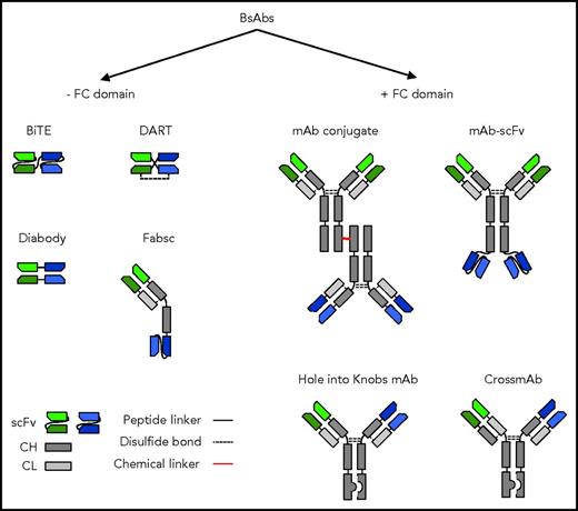 Figure 1. Selected BsAb formats. BsAbs can be broadly divided into molecules that contain or do not contain an immunoglobulin G backbone with a functional Fc domain. BsABs can be created by chemical crosslinking 2 mAbs or recombinant DNA technology. Fab, fragment antigen binding; CH, heavy chain; CL, light chain; DART, dual-affinity retargeting; sc, single chain; scFv, single-chain variable fragment.