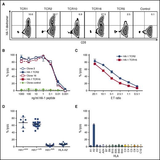 Figure 1. HA-1 TCR–transduced CD8+ T cells kill HA1+ target cells. (A) Flow cytometry showing HLA-A2/HA-1 multimer staining of CD8+ T cells transduced with HA-1 TCR LV (TCR 1, 2, 10, 16, 5) and CD8+ T cells transduced with TCRs specific for a different minor H antigen (control). (B-E) CRAs to evaluate specific lytic activity. (B) Lysis of T2 target cells pulsed with HA-1 peptide at various concentrations by TCR-transduced CD8+ T cells (solid lines and symbols; TCR2, blue circles; TCR16, red squares), HA-1–specific T-cell clones (dashed lines, open symbols: clone 2, blue circles; clone 16, red squares), or T-cell clone control (diamonds). (C) Lysis of HLA-A2+HA-1+ LCL by CD8+ T cells transduced with HA-1 TCR2 (circles) or HA-1 TCR16 (squares) at various E:T ratios. (D) Lysis of HLA-A2+/HA-1+ homozygous (H/H) (circles, n = 7), HLA-A2+/HA1+ heterozygous (H/R) (squares, n = 22), HLA-A2+/HA-1– (R/R) (triangles, n = 17), or HLA-A2–negative (inverted triangles, n = 41) hematopoietic cell (LCL) targets by HA-1 TCR2–transduced CD8+ T cells. (E) Lysis of LCL with common HLA alleles by HA-1 TCR2–transduced CD8+ T cells. *An E:T ratio of 20:1 was used unless otherwise specified. Data comparable with that shown in panels D and E were also obtained with HA-1 TCR16 (data not shown).