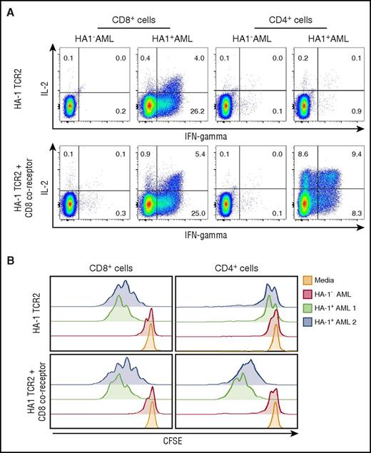 Figure 3. CD8 coreceptor enhances the function of class I–restricted, HA-1 TCR–transduced CD4+ T cells. (A) Intracellular cytokine assay showing IL-2 and IFN-γ production by CD8+ T cells (left) and CD4+ T cells (right) transduced with HA-1 TCR2 LV (upper panels) or HA-1 TCR2-CD8 coreceptor LV (lower panels) in response to HLA-A2+/HA-1+ AML or HLA-A2+/HA-1– AML; (B) carboxyfluorescein diacetate succinimidyl ester (CFSE) assay showing proliferation of CD8+ T cells (left) and CD4+ T cells (right) transduced with HA-1–specific TCR2 LV (upper panels) or HA-1 TCR2-CD8 coreceptor LV (lower panels) in response to HLA-A2+/HA-1+ primary AML (green and blue), HLA-A2+/HA-1– AML (red), or media control (orange).