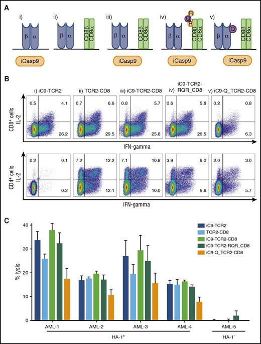 Figure 5. Evaluation of CD8+ T cells transduced with constructs, including HA-1 TCR2, and safety switch and/or CD8 coreceptor and/or a selection marker. (A) Drawing illustrating the composition of the 5 different LV transgene constructs evaluated: (i) iCasp9(iC9)-HA1 TCR2; (ii) HA1 TCR2-CD8 coreceptor (CD8); (iii) iC9-HA1 TCR2-CD8; (iv) iC9-HA1 TCR2-RQR-CD8; and (v) iC9-CD34-HA1 TCR2-CD8. (B) Intracellular cytokine staining showing production of IL-2 and IFN-γ by CD8+ and CD4+ T cells transduced with the LV transgene constructs in response to HLA-A2/HA-1+ primary AML. (C) CRAs showing specific lysis of HLA-A2+/HA-1+ AML (AML 1-4) or HLA-A2+/HA-1– AML (AML 5) by CD8+ T cells transduced with the LV transgene constructs.
