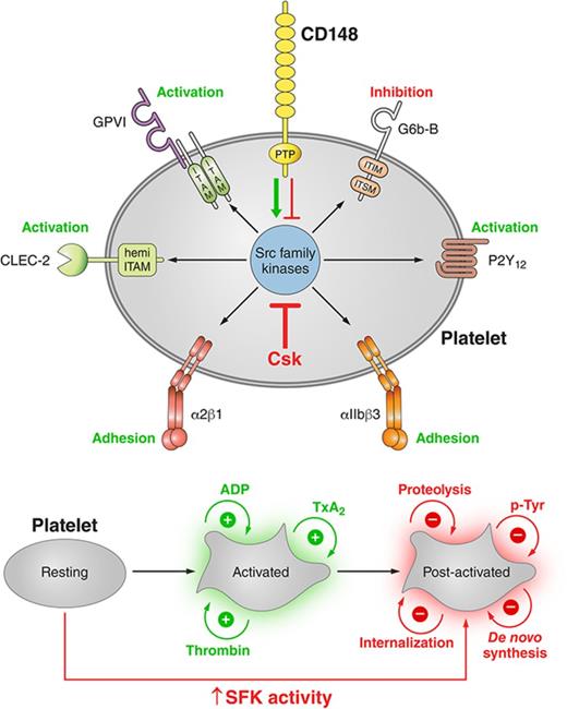Professional illustration by Patrick Lane, ScEYEnce Studios.