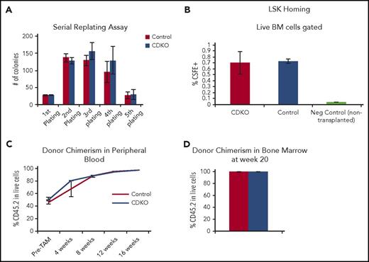 Figure 3. Nr4a1/3-null HSCs have normal self-renewal, homing and engraftment capacity. (A) Serial replating of 100 sorted HSCs after acute Nr4a1/3 codepletion. From the second to the fifth round of replating, 10 000 cells were seeded. (B) LSK homing assay. CDKO and control mice (n = 3) were treated with 4 doses of tamoxifen, and LSK cells were sorted and subsequently labeled with CSFE in vitro. LSK CSFE+ cells were then transplanted into wild-type mice (n = 3 recipients per genotype) that were lethally irradiated the day before. Sixteen hours after transplant, recipient mice were killed and bone marrow was analyzed by flow cytometry for CSFE detection. Bone marrow from nontransplanted mice was used as negative control. (C) Flow cytometry analysis of CD45.2 donor cell chimerism in mice transplanted with 200 CDKO or control HSCs. Recipient mice were analyzed 6 weeks after transplant to confirm initial engraftment (Pre-TAM) and immediately treated with tamoxifen and analyzed every 4 weeks after tamoxifen treatment. (D) CD45.2 donor cell chimerism in the bone marrow at week 20. Results expressed as mean ± SD, n = 3 (A-B) or n = 3 control and 5 CDKO (C-D).
