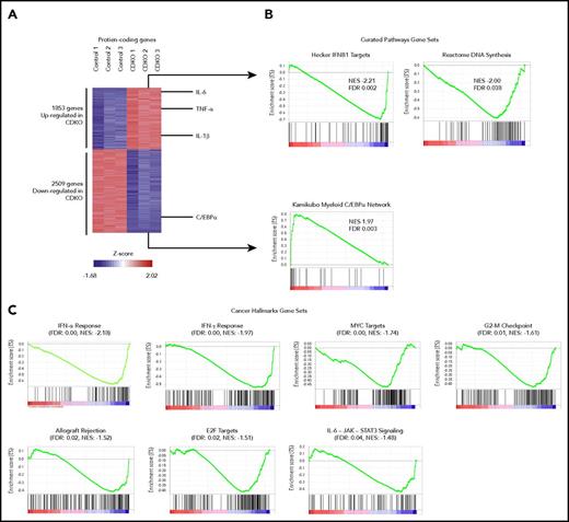 Figure 5. Global transcriptional changes in CDKO relative to control HSCs after acute Nr4a1/3 codepletion. (A) Heat map of differentially expressed (P < .05 and fold change greater than 1.5 or less than −1.5) genes in CDKO relative to control HSCs (LSK CD48−CD150+) at 4 days after tamoxifen treatment. HSCs were sorted from 3 pools of bone marrow from control and CDKO mice (5 mice per pool) and subjected to RNA-seq. (B) Gene set enrichment analysis using the “Curated Pathways” gene sets as reference database. (C) Gene set enrichment analysis using the “Hallmarks of Cancer” gene sets. FDR, false discovery rate; NES, normalized enrichment score.