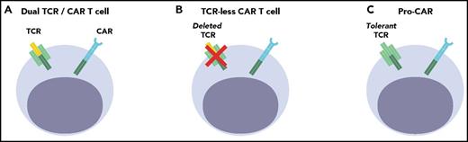Figure 1. Cell engineering strategies to provide allogeneic CAR T cells in the posttransplant setting. (A) Dual TCR/CAR T cell: The TCR may be alloreactive (DLI) or virus-specific (VST). There is a risk of signaling overload in bispecific T cells. (B) TCR-less CAR T cell: The endogenous TCR can be disrupted in mature T cells to abrogate GVHD potential (UCART19, TRAC-CAR). (C) Pro-CAR: Mismatched lymphoid progenitors can yield host tolerant CAR T cells, but require successful engraftment, development, and selection (precursor T cells).