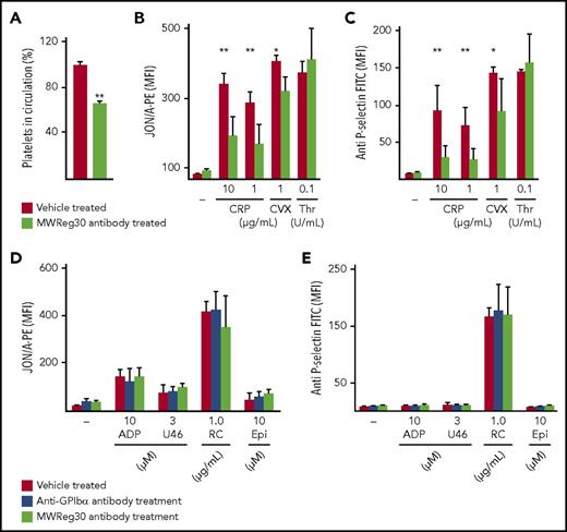 Figure 2. NFYPs after MWReg30-induced thrombocytopenia display impaired GPVI signaling. (A) Platelet count in circulation on day 5 after MWReg30 treatment was determined by flow cytometry. Data bars are represented as percent values ± SD compared with vehicle-treated controls (100%) on day 5 after depletion by gating on anti-GPIb/phycoerythrin and anti-GPV/fluorescein isothiocyanate antibody. **P<.001. Flow cytometric analysis of (B) platelet integrin αIIbβ3 activation and (C) P-selectin exposure of control and MWReg30-treated mice on day 5 (n = 4). CVX, convulxin. *P < .05, **P < .01. (D) Integrin αIIbβ3 activation (binding of JON/A-phycoerythrin) and (E) P-selectin exposure on day 5 after anti-GPIbα antibody or MWReg30 (anti-αIIbβ3) treatment in response to indicated agonists (n = 5). Epi, epinephrine; FITC, fluorescein isothiocyanate; MFI, mean fluorescence intensity; RC, rhodocytin; U46, U46619.