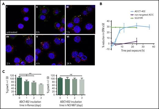 Figure 3. Mechanism of action of ADCT-402. (A) Merged immunofluorescent images of CD19+, human Burkitt lymphoma-derived Ramos cells treated with 2 μg/mL ADCT-402 for 1 hour; washed and fixed after T = 0, 1, 2, 4, or 24 hours in medium at 37°C; and stained with labeled antihuman IgG (green), anti-LAMP-1 (red), and Hoechst 33342 (blue) nuclear stain. Yellow indicates colocalization, with specific sites of colocalization indicated by stars. Original magnification ×63. (B) Time course of DNA interstrand crosslinking measured as the % reduction on Olive Tail Moment in Ramos cells treated for 2 hours with ADCT-402 (40 pM), SG3199 (10 pM), or a nontargeted ADC (40 pM) followed by postincubation in drug-free medium for the indicated time. Results are the mean ± standard deviation from at least 3 independent experiments. (C) Percentage viability of CD19− Karpas-299 cells after 96 hours of exposure to media transferred from ADCT-402–treated CD19+ Ramos cells or CD19− NCI-N87 cells for 1, 2, or 3 days. Statistical analysis was done with unpaired t test with Welch’s correction (not assuming equal standard deviations). P values are 2-tailed. *P ≤ .05, **P ≤ .01. ns, not significant.