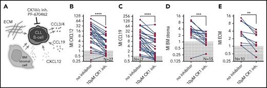 Figure 2. CK1δ/ε inhibitor PF-670462 specifically blocks interaction of primary CLL cells with microenvironmental stimuli in vitro. (A) Scheme of the applied treatments and analyzed CLL-microenvironment interactions. (B-E) Migration of primary CLL cells (N = 10-27) in presence or absence of PF-670462 was assayed using transwell assays. Cells were stimulated by 200 ng/mL CXCL12 (B) or CCL19 (C), BM stromal cells M210B4 (D), or ECM component fibronectin (E) stimulation. CK1 inhibitor treatment significantly blocked response to chemokines (P < .0001 both for CXCL12 and CCL19, N = 27), BM stroma (P < .0001, N = 15), and ECM (P = .0020, N = 10). MI, migration index.