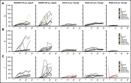 Figure 5. Clonal expansion across time in aged vs young macaques. (A-C) Clonal contributions from individual clones were plotted for Gr (A), B cells (B), and T cells (C) across time. Each line represents a clone, and the y-axis indicates the percent clonal contribution. The 10 most abundant clones in each lineage at the latest time point were tracked across time. Line colors reflect clone type definitions and match those in Figure 3. MP: black lines; myeloid (Gr)-biased: yellow lines; B-biased: blue lines; T-biased: red lines; T/B-biased: purple lines; T/myeloid-biased: orange lines; B/myeloid-biased: green lines; indeterminate: gray lines.