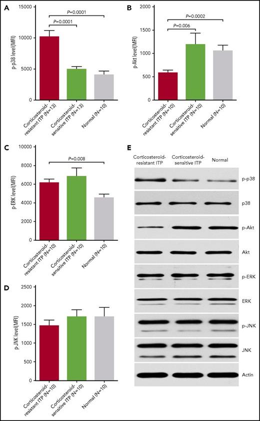 Figure 3. Elevated p-p38 and decreased p-Akt in BM EPCs from corticosteroid-resistant ITP patients. Flow cytometry revealed elevated (A) p-p38 and decreased (B) p-Akt, whereas no significant differences in (C) p-ERK or (D) p-JNK expression in precultivated BM EPCs among patients with corticosteroid-resistant ITP, corticosteroid-sensitive ITP, and healthy controls (Normal) were observed. The data were expressed as the MFI (means ± SEM). (E) Representative western blots of p-p38, total p38, p-Akt, total Akt, p-ERK, total ERK, p-JNK, total JNK, and actin in cultivated BM EPCs at day 7 in culture among patients with corticosteroid-resistant ITP, corticosteroid-sensitive ITP, and healthy controls. Subject variables were compared using the Mann-Whitney U test for continuous variables. All P values <.05 were considered significant and were provided in the figure.
