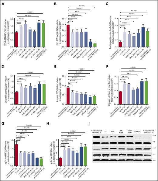 Figure 5. Atorvastatin and NAC enhanced the quantity and function of cultivated BM EPCs from corticosteroid-resistant ITP patients via reducing p-p38 MAPK activity and inducing p-Akt activity. The cultivated BM EPCs from corticosteroid-resistant ITP patients were incubated with atorvastatin (ST; 500 nM), NAC (1 mM), SB203580 (10 μM), BIRB796 (400 nM), or ST (500 nM) combined with NAC (1 mM). The effects of the different treatments on (A) percentages (per well), (B) ROS levels, (C) double-positive–stained cells, (D) cell proliferation, (E) apoptosis, and (F) migration of cultivated BM EPCs from corticosteroid-resistant ITP patients were compared at day 7 in culture. (G) p-p38 and (H) p-Akt expression were analyzed by flow cytometry in the cultivated BM EPCs at day 7 in culture. (I) Representative western blots of p-p38, total p38, p-Akt, total Akt, and actin in the cultivated BM EPCs from corticosteroid-resistant ITP patients at day 7 in culture among the different treatments. The data were expressed as fold-change relative to corticosteroid-resistant ITP. Subject variables were compared using the Mann-Whitney U test for continuous variables. All P values <.05 were considered significant and were provided in the figure. BIRB796 and SB203580 indicate 2 kinds of p38 inhibitors.