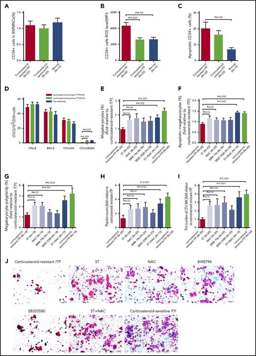 Figure 6. Atorvastatin and NAC improved megakaryocytopoiesis in BM CD34+ cells cocultured with BM EPCs from corticosteroid-resistant ITP patients. Even though the (A) percentages of BM CD34+ cells among corticosteroid-resistant ITP, corticosteroid-sensitive ITP, and healthy controls showed no significant differences, the (B) intracellular ROS levels and (C) apoptosis rates of BM CD34+ cells were increased in the corticosteroid-resistant ITP group. (D) The CFU-plating efficiency of BM CD34+ cells from corticosteroid-resistant ITP, corticosteroid-sensitive ITP, and healthy controls was analyzed. The megakaryocyte production, maturation, platelet release, and CFU-MK–plating efficiencies in BM CD34+ cells were analyzed after coculture with the differently treated BM EPCs from corticosteroid-resistant ITP. The (E) percentages of megakaryocytes, (F) megakaryocyte apoptosis, (G) megakaryocyte ploidy distribution, (H) platelet release, and (I-J) CFU-MK counts were analyzed after 12 days of coculture. CFU-MKs were stained with mouse anti–human GPIIb/IIIa antibody and biotin-conjugated goat anti–mouse IgG, then counterstained with Evans Blue. CFU-MK colonies were defined as groups of 3 or more GPIIb/IIIa-positive cells (pink membranes with blue nuclei) (scale bars, 200 μm). The data were expressed as fold change relative to corticosteroid-resistant ITP. Subject variables were compared using the Mann-Whitney U test for continuous variables. All P values <.05 were considered significant and were provided in the figure. ST, atorvastatin.