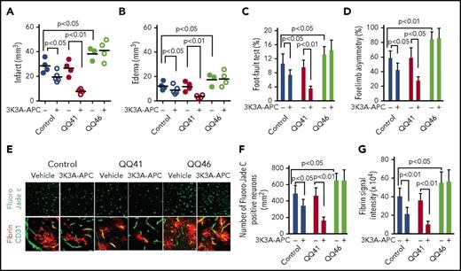 Figure 4. APC-mediated neuroprotection in ischemic stroke is observed in QQ41-PAR1 mice but not in QQ46-PAR1 mice. Data (mean values) for 24 hours after MCAO are shown for infarct volume (A), edema (B), foot-fault test (C), and forelimb-asymmetry test (D) for homozygous QQ41-PAR1 mice, homozygous QQ46-PAR1 mice, and the corresponding Wt controls treated with murine recombinant 3K3A-APC (0.04 mg/kg given IV 4 hours after MCAO) or vehicle. Bars indicate mean ± standard deviation (SD), n = 4-6 mice per group. Data for 24 hours after MCAO are seen for degenerating neurons determined by Fluoro-Jade C stain (E-F) and for fibrin deposition determined by anti-fibrin antibodies (E,G) for each mouse group (panel E, original magnification ×20). Treatment of mice with 3K3A-APC or vehicle is indicated by plus or minus signs under panels A-D, F, and G. Student t test and 1- or 2-way ANOVA followed by a post hoc Tukey test were used to determine statistically significant differences. The curves of functional recovery after stroke were compared using repeated-measures ANOVA. P < .05 was considered statistically significant.
