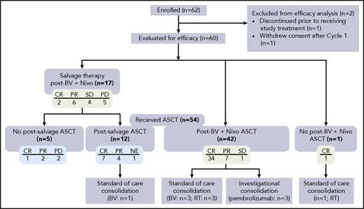Figure 2. Therapy after study treatment. Among the 60 patients evaluated for efficacy, 54 patients underwent ASCT, of whom 42 patients did so directly after treatment with BV and Nivo. A total of 17 patients received subsequent salvage therapy, and 1 patient who achieved CR received consolidation radiotherapy after treatment with BV and Nivo. Green boxes indicate response to BV plus Nivo, and blue boxes indicate response to salvage therapy. NE, not evaluable; PD, progressive disease; RT, radiation therapy.