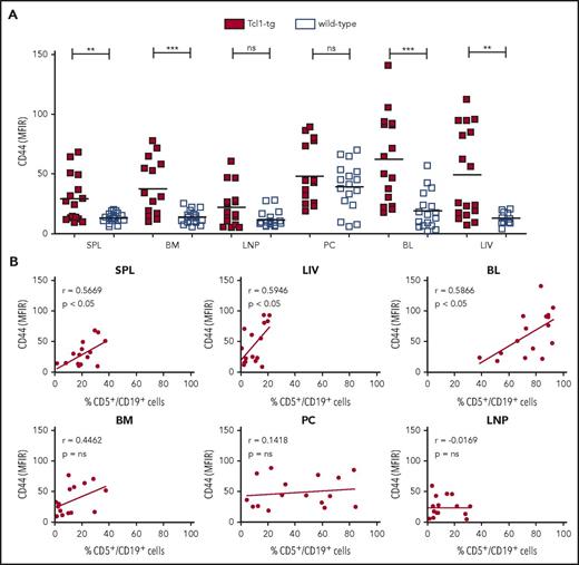 Figure 1. CD44 is overexpressed on leukemic cells of Tcl1-tg mice compared with healthy B cells of wild-type mice and is associated with organ infiltration. (A) CD44 surface expression on viable CD5+/CD19+ leukemic cells of Tcl1-tg mice and CD5−/CD19+ healthy B cells of C57BL/6J wild-type mice was assessed by flow cytometry (mean fluorescence intensity ratio, MFIR). (B) CD44 expression on CD5+/CD19+ cells in lymphoid organs of Tcl1-tg mice correlates with the percentage of CD5+/CD19+ CLL cell infiltration in spleen (SPL), liver (LIV), and blood (BL) but not BM, lymph node (LNP), and PC. Pearson correlation was determined.
