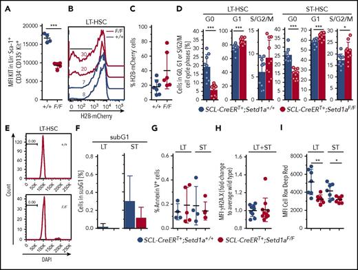 Figure 4. Nontransplanted SETD1A-deficient HSCs are defective. (A) Plot depicts mean fluorescence intensities (MFI) of Kit expression on LT-HSCs. (B) Plot shows the dilution of H2B-mCherry in LT-HSCs 8 weeks after doxycycline-mediated labeling of LT-HSCs in SCL-CreERT+;Setd1aF/F;R.26-rtTAki/ki;Col1a1-tetO-H2B-mCherryki/ki or control mice. (C) Quantification of H2B-mCherry dilution as is shown in panel B. Data from 2 independent experiments are shown. (D) Frequencies of SCL-CreERT+;Setd1aF/F or SCL-CreERT+;Setd1a+/+ LT-HSCs (left) and ST-HSCs (right) in G0 (Ki-67− DAPI−), G1 (Ki-67+ DAPI−), or S/G2/M (DAPI+) phases of the cell cycle. Data from 2 independent experiments using n = 9 (+/+) and n = 10 (F/F) mice, 8 and 9 days after last TAM treatment are shown. (E) Histogram of DAPI-stained LT-HSCs. (F) Frequency of LT-HSCs and ST-HSCs containing fragmented DNA (sub-G1) was determined, as is shown in panel E. Data from 2 experiments using n = 9 (+/+) and n = 10 (F/F) mice were pooled. (G) Frequencies of annexin V+ cells in LT-HSCs and ST-HSCs in vivo. Data from 2 independent experiments are shown. (H) Graphs show the MFI for phosphorylated histone 2A.X at Ser139 (γH2A.X) in LT-HSCs and ST-HSCs in vivo. Data from 3 independent experiments are shown. (I) MFI of Cell Rox Deep Red to detect ROS levels in LT-HSCs and ST-HSCs in vivo. Data from 2 independent experiments are shown.