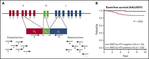 (A) Cartoon of the sequencing strategy, demonstrating targeting the IgH gene rearrangements. Multiple primers complementary to various V and J sequences are simultaneously used, and in this example, primers specific to V4 and JB bind and can form a PCR VDJ rearrangement product. The amplified rearrangements are sequenced and bioinformatics approaches are used to identify the dominant clones that will subsequently be tracked for the MRD assay. (B) Kaplan-Meier estimates of EFS for standard-risk group patients who were MRD positive by HTS at any level vs MRD negative. See Figure 4A in the article by Wood et al that begins on page 1350.