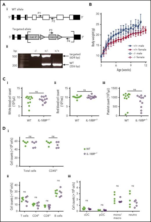 Figure 1. IL-18BP−/− mice display normal growth and no spontaneous proinflammatory phenotype. (Ai) Schematic representation of WT and knockout (−/−) mouse Il18bp alleles is shown. Coding exons appear as white boxes, and noncoding exons as black boxes. Targeting vector-derived sequences in the targeted allele are shown in gray, between brackets. Triangles represent LoxP sequences. Location of primers designed for genotyping (P1 and P2 for WT allele, P3 and P4 for −/− allele) is indicated. (Aii) PCR products for the WT and targeted allele in −/−, heterozygous (+/−) and WT mice (+/+) are shown. (B) The mean body weight (± SD) of 20 male and 16 female WT littermates (+/+) and 10 male and 9 female IL-18BP−/− (−/−) mice between 3 and 12 weeks of age is reported. (Ci) White and (Cii) red blood cell counts as well as (Ciii) platelet counts are shown for naive WT littermate and IL-18BP−/− mice (n = 11). Data were pooled from 2 independent experiments. The number of (Di) total and CD45+ cells, (Dii) total T cells, CD4+ T cells, CD8+ T cells and B cells, and (Diii) conventional DCs (cDCs), plasmacytoid DCs (pDCs), monocytes/macrophages (mono/macro), and neutrophils (neutro) in the spleen are shown for naive WT littermates and IL-18BP−/− female mice (n = 5, data are from 1 experiment representative of 2). The Mann-Whitney U test was used to compare WT and IL-18BP−/− mice. ns, nonsignificant.