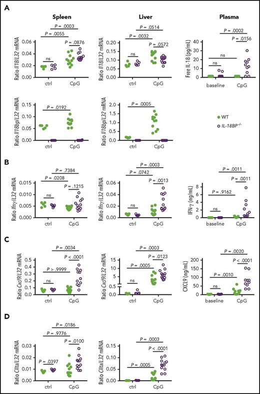 Figure 4. IL-18 and IL-18BP are upregulated and IL-18BP−/− mice show a more pronounced IFN-γ signature than WT littermates after repeated CpG injections. (A) Il18, Il18bp, (B) Ifnγ, (C) Cxcl9, and (D) CIIta mRNA levels in the spleen (left panels) and liver (middle panels) are shown for naive (ctrl) or CpG-challenged (CpG) WT (n = 5-11) and IL-18BP−/− (n = 5-12) female mice. Data are from 1 experiment at baseline and 2 pooled independent experiments after TLR9 stimulation. Plasma levels (right) of (A) free IL-18, (B) IFN-γ, and (C) CXCL9 are represented at baseline and on day 7 after CpG injections in WT (n = 11) and IL-18BP−/− (n = 10) mice. Data were pooled from 2 independent experiments. The Mann-Whitney U test was used to compare WT and IL-18BP−/− mice at 1 time point and to compare naive and CpG-challenged mice. The Wilcoxon signed-rank test was used to compare baseline and day 7 values within each genotype when data were paired.