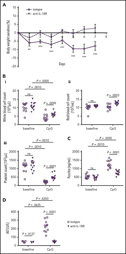 Figure 6. IL-18 blockade with a monoclonal anti–IL-18R antibody attenuates the severity of MAS in IL-18BP−/− mice. Male IL-18BP−/− mice received CpG injections on days 0, 2, and 4 and were either treated with an isotype control (n = 11) or a monoclonal anti–IL-18R (n = 12) antibody. All mice were killed on day 7. (A) Variations from baseline body weight are represented as mean ± SD in isotype and anti–IL-18R–treated mice. Circulating (Bi) white blood cell, (Bii) red blood cell, and (Biii) platelet counts and plasma levels of (C) ferritin and (D) ALT were measured before (baseline) and on day 7 after CpG injections (CpG) in isotype and anti–IL-18R antibody–treated IL-18BP−/− mice. All data were pooled from 2 independent experiments. The Mann-Whitney U test was used to compare isotype control and anti–IL-18R antibody–treated mice at 1 time point. The Wilcoxon signed-rank test was used to compare baseline and day 7 values within each treatment group when data were paired. **P < .01; ***P < .005.