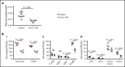 Figure 7. IL-18 blockade with a monoclonal anti–IL-18R antibody protects from splenic changes induced by repeated TLR9 stimulation in IL-18BP−/− mice. Male IL-18BP−/− mice received CpG injections on days 0, 2, and 4 and were either treated with an isotype control (n = 11) or a monoclonal anti–IL-18R (n = 12) antibody. All mice were killed on day 7. (A) Spleen weights, normalized to body weight, from isotype and anti–IL-18R–treated IL-18BP−/− mice are shown. Data were pooled from 2 independent experiments. The number of (Bi) total and CD45+ cells, (Bii) total T cells, CD4+ T cells, CD8+ T cells, and B cells, and (Biii) conventional DCs (cDCs), plasmacytoid DCs (pDCs), monocytes/macrophages (mono/macro), and neutrophils (neutro) in the spleen are reported for isotype (n = 6) and anti–IL-18R antibody–treated (n = 6) IL-18BP−/− mice. Data are from 1 experiment and are representative of 2 experiments. The Mann-Whitney U test was used to compare isotype control and anti–IL-18R antibody–treated mice at 1 time point.