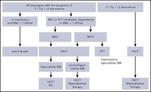 Figure 2. Treatment algorithm in RCC. IST, immunosuppressive therapy; MSD, matched sibling donor; MUD, matched unrelated donor; RBC, red blood cell; RIC, reduced intensity conditioning.