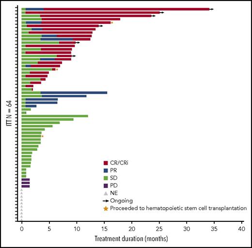 Figure 2. Duration of response. Bar length reflects duration of response. End of duration is due to progressive disease (PD), last disease assessment, or last follow-up. Gray triangles indicate the 10 patients who did not have postbaseline disease assessment and are listed as not evaluable (NE) but included as “nonresponders” in the ITT analysis. SD, stable disease.