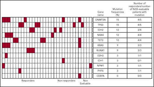 Figure 4. Heatmap showing mutational status of 12 frequently mutated genes and response data for patients in the MTD cohort. Genetic mutation data for 33 of 61 patients identified using a targeted NGS panel are shown. Each column represents a single patient, and each row represents a single gene. Presence of a mutation in any gene is denoted in red. Mutation frequency = (number of patients with mutation/number of NGS-evaluable patients) × 100. In this figure, responders = CR + CRi + PR.