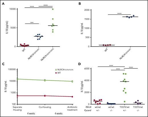 Figure 4. Mice bearing Nlrc4T337S mutation have chronic, inflammasome-dependent IL-18 elevation. (A) Serum IL-18 from age- and sex-matched NLRC4T337S/T337S, NLRC4T337S/WT, and WT mice. (B) NLRC4T337S/WT mice or littermate controls were assessed for serum IL-18 upon weaning at 21 days of age. (C) Serum was obtained from NLRC4T337S/T337S and WT mice housed separately until 7 weeks of age, then cohoused for 4 weeks, and then cohoused and administered broad-spectrum antibiotics for an additional 4 weeks. (D) Serum IL-18 was assessed in mice of the indicated genotypes. Each graph is representative of at least 2 separate experiments. ***P < .001, ***P < .0001, 1-way analysis of variance (ANOVA) with Tukey posttest.