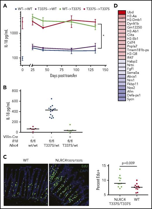Figure 6. IL-18 overproduction in NLRC4T337S/T337S mice derives from IECs and induces proliferation and major histocompatibility complex II upregulation. (A) Serum IL-18 concentration in bone marrow chimeras as depicted. Values at 0 time point represent serum concentration in donor mice. *P < .05 for all comparisons of top lines to bottom lines; repeated measures ANOVA with Tukey test for multiple comparisons. Representative of 2 experiments with at least 4 mice per group. (B) Serum IL-18 in Il18flox/flox mice of the indicated genotypes. (C) Mice were injected with EdU and histologically evaluated 4 hours later for the proportion of EdU positive (green) cells among all villous cells (4′,6-diamidino-2-phenylindole). Original magnification ×200. Analysis by Student t test of pooled data from 3 separate experiments. Each point represents a distinct organ. (D) Genes most differentially upregulated (red) or downregulated (blue) in NLRC4T337S/T337S duodenal epithelium by RNA-seq; see also Data supplements F and G.