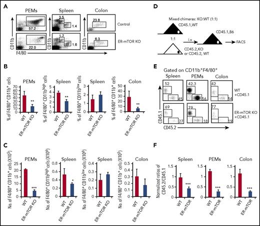 Figure 1. Loss of mTOR intrinsically disrupts macrophage development in mice. WT and ER-mTOR KO mice were injected intraperitoneally with tamoxifen for 4 days and then rested for 2 to 5 days for analysis. (A) Cells of spleen, peritoneal cavity, and colon from tamoxifen-treated WT and ER-mTOR KO mice were stained with anti-CD11b mAb and anti-F4/80 mAb and analyzed by flow cytometry. The percentages (B) and cell numbers (C) of CD11b+F4/80+ cells in peritoneal cavity, spleen, and colon from tamoxifen-treated WT and ER-mTOR KO mice were summarized. (D) Mixed chimeric mice were generated by adoptive transfer either CD45.2+ WT or ER-mTOR KO BMCs mixed with CD45.1+ WT BMCs at the ratio of 1:1 into lethally irradiated CD45.1+ recipient mice. (E) The staining patterns of CD45.1+ and CD45.2+ CD11b+F4/80+ macrophages in mixed chimeras were shown. (F) The ratios of WT CD45.1+ and CD45.2+ WT or mTOR-deficient CD11b+F4/80+ macrophages in spleens, peritoneal cavity, and colon of mixed chimeric mice were calculated. Data are 1 representative of 3 independent experiments. *P < .05; **P < .01; ***P < .001 compared with WT control.