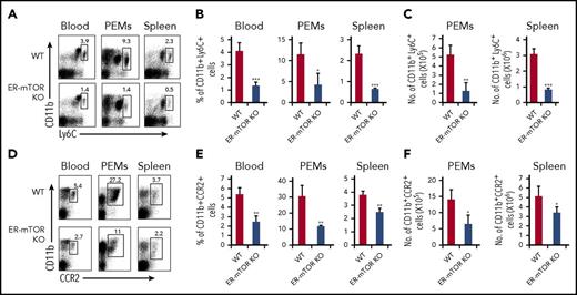 Figure 2. Loss of mTOR leads to significant reduction of monocytes in ER-mTOR mice. The cells of spleens, peritoneal cavity, and blood from tamoxifen-treated WT and ER-mTOR KO mice were stained with anti-CD11b mAb and anti-Ly6C mAb or anti-CCR2 mAbs. (A) Representative fluorescence-activated cell sorter analysis of spleens, peritoneal cavity, and blood monocytes for staining CD11b+Ly6Chi was shown. The percentages (B) and cell numbers (C) of CD11b+Ly6Chi cells in peritoneal cavity, spleens, and blood from tamoxifen-treated WT and ER-mTOR KO mice were compared. (D) Representative fluorescence-activated cell sorter analysis of spleens, peritoneal cavity, and blood monocytes for staining CD11b+CCR2+ was shown. The percentages (E) and cell numbers (F) of CD11b+CCR2+ cells in peritoneal cavity, spleen, and blood from tamoxifen-treated WT and ER-mTOR KO mice were shown. Data are representative of 5 independent experiments. *P < .05; **P < .01; ***P < .001 compared between WT and ER-mTOR KO mice.